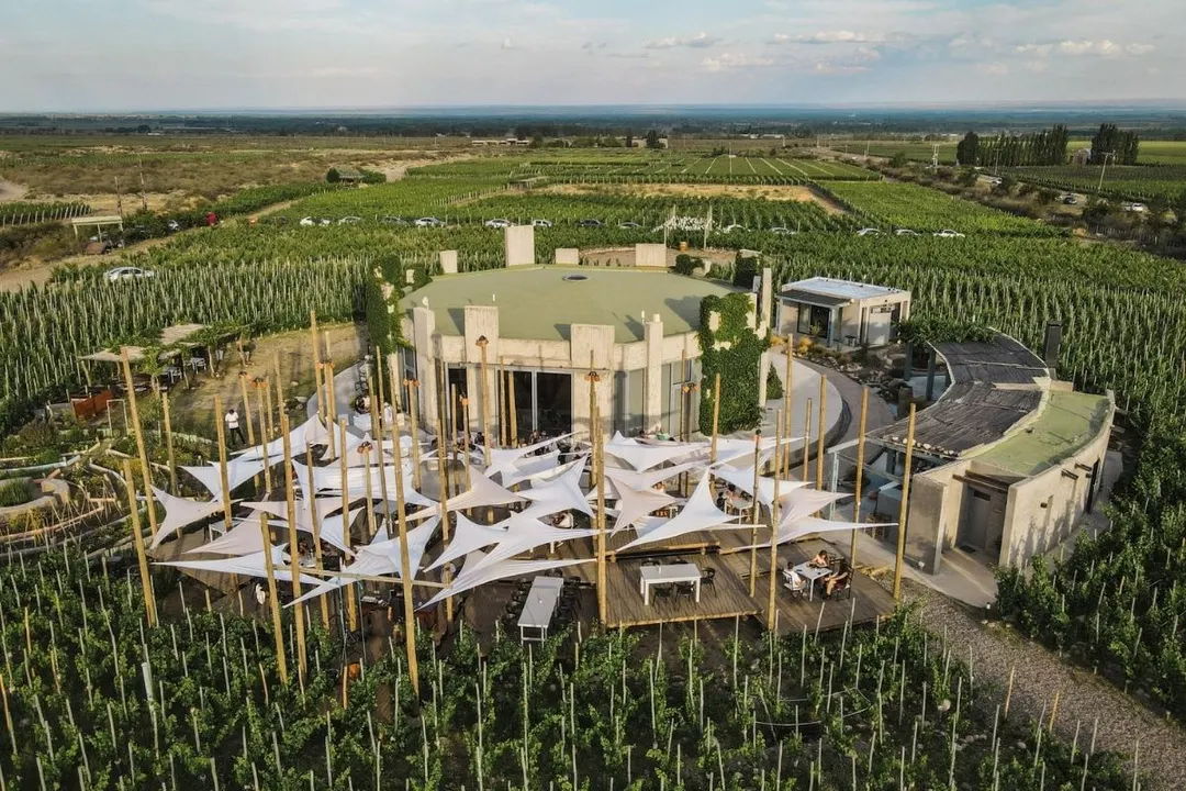 Vista aérea de bodega entre viñedos